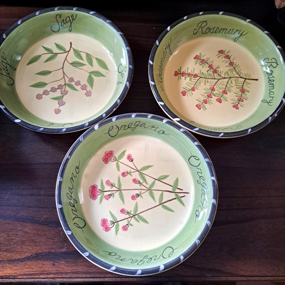 Certified International Green and Cream Dinnerware Set